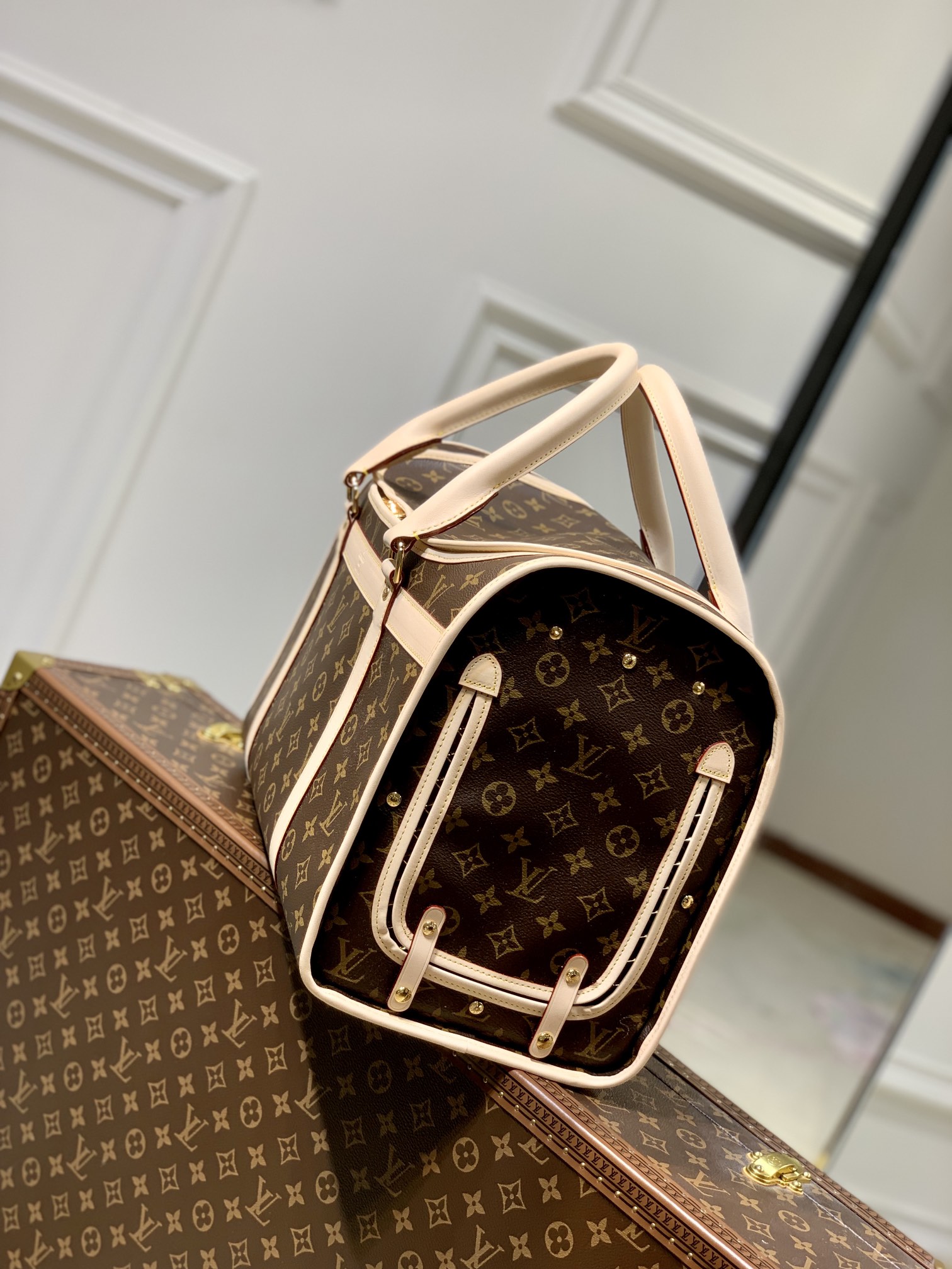 LV Travel Bags
